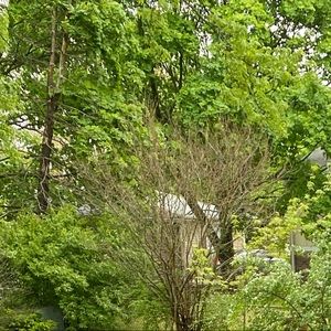 Meet your Posher, Dennis